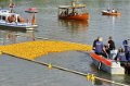 Maschsee13   726